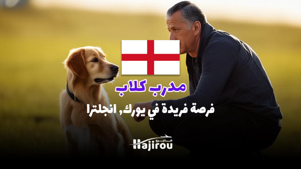 مدرب الكلاب: انضم إلى مركز تدريب الكلاب لدينا, فرصة فريدة في إنجلترا